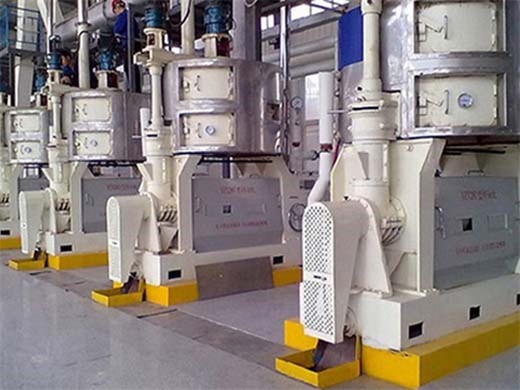 Línea de producción de aceite de maní de fábrica profesional en Venezuela