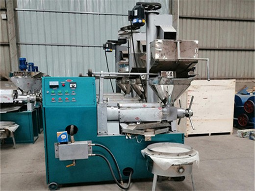 Máquina prensadora para extracción de aceite de germen de maíz en Nicaragua