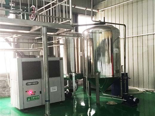 Línea de producción de aceite comestible de linaza de 20 a 200 toneladas en Santa Cruz