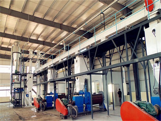 Molino de aceite de germen de maíz  Panamá precio de fábrica
