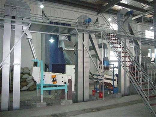 Máquina automática de extracción de aceite de girasol y nuez con molino expulsor