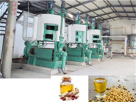 Máquina de fabricación de aceite de mostaza de China proveedor de molino de aceite de mostaza