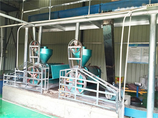 Máquina de extracción de aceite de palma para empresas/plantas de aceite de palma en Ecuador