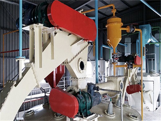 Molino de aceite de almendras y sésamo semiautomático de prensado en frío en China