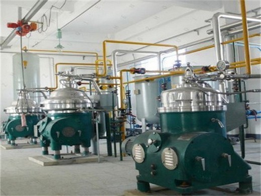 Fabricación de prensas de aceite de nuez profundas con certificación ISO/CE