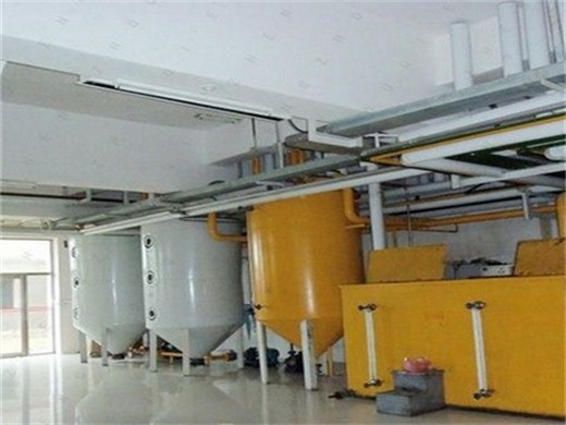 Línea de producción de biodiésel de aceite de colza crudo de alto rendimiento en Bolivia