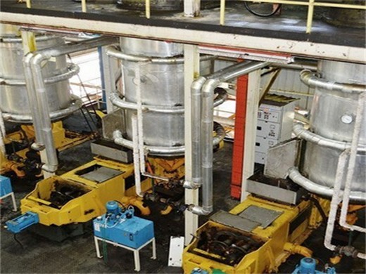 Línea de producción de aceite de colza máquinas de aceite prensas de aceite en venta