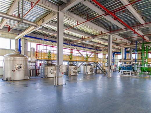 Máquina refinadora de aceite de sésamo de tornillo 2025 para muchos tipos diferentes de semillas