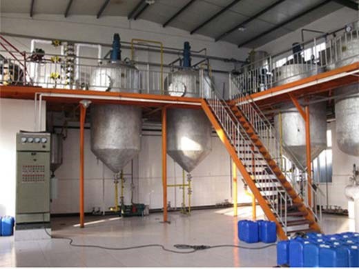 Máquina de prensado de aceite de semilla de karité para refinación de aceite de palmiste