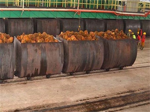 Máquina prensadora de aceite nueva la más vendida en Venezuela