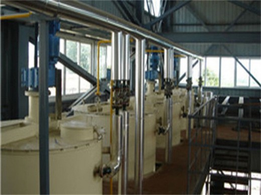 Máquina de extracción de aceite hidráulico de acero inoxidable prensa de aceite hidráulica