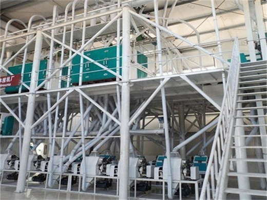 Prensa hidráulica de aceite de sésamo/máquina para fabricar aceite de sésamo con fábrica