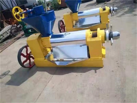 Precio de la prensa hidráulica automática de aceite en Bolivia