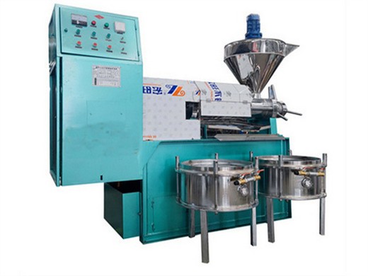 Máquina extractora de cacahuetes para fabricar aceite vegetal comestible de 40 a 600 kg/hora