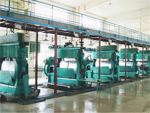 Prensa hidráulica automática de aceite de soja negra  Precio hj-hn50