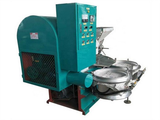 Máquina para la extracción de aceite de nuez en Gujarat Argentina