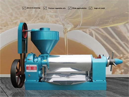 Prensa hidráulica automática de aceite de nuez de gran tamaño vertical fría y caliente roja