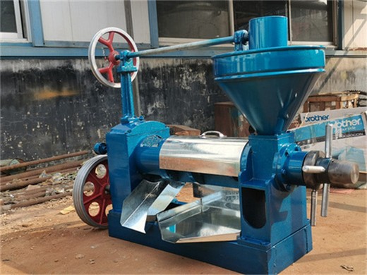 Prensa de aceite de tornillo automática Eternalwin 2025 en Guinea Ecuatorial