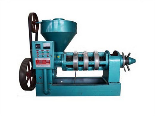 Equipos para procesar aceite de tornillo para semillas en Guinea Ecuatorial