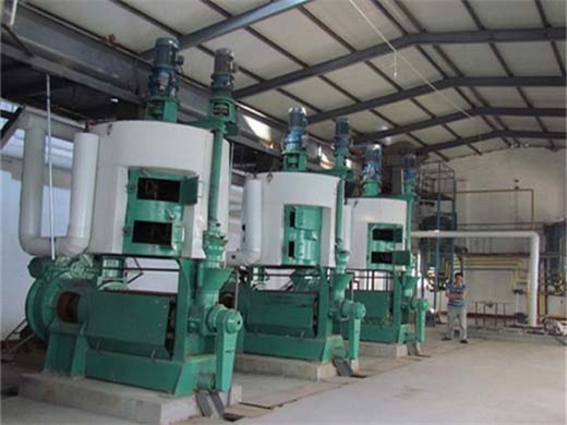 Prensa de aceite en frío de tornillo grande máquina para hacer mantequilla de sésamo en Córdoba