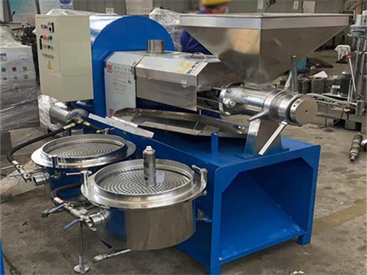 Prensa automática de aceite en frío yzlxq140 para maní en Paraguay