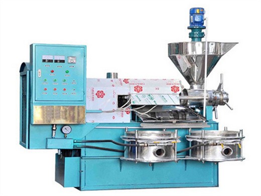 Máquina de prensado en frío de aceite comercial fabricante chino precio competitivo