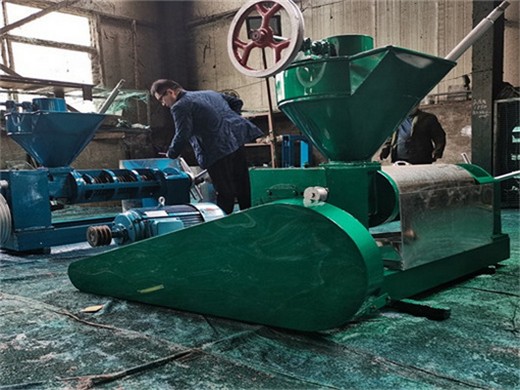Máquina de prensado en frío de aceite República Dominicana