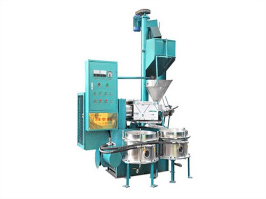 Máquina de extracción de aceite prensa de tornillo grande máquina de extracción de aceite