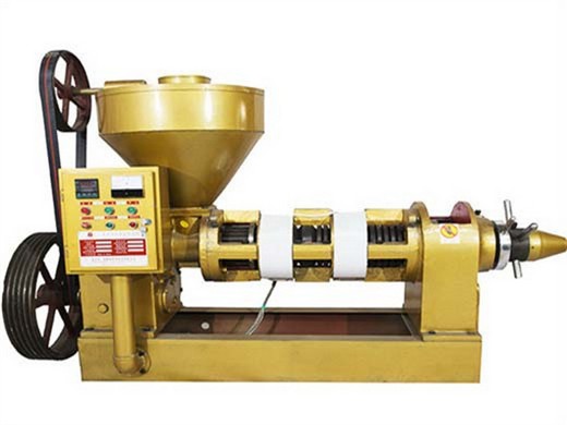 Prensa automática de aceite de soja de tornillo oferta 2025 de Eternalwin