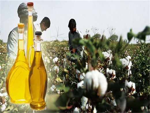 Prensa de aceite de mostaza grande 6YL-260 en venta en Colombia