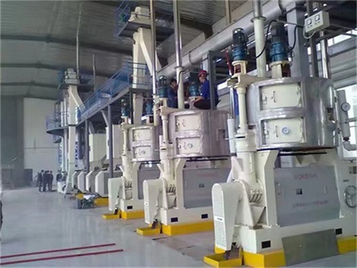 Máquina de prensado en frío de aceite hidráulico para sésamo lino calabaza y soja