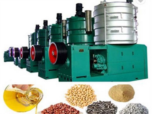 Máquina de prensado en frío de aceite de sésamo de alta eficiencia/Extracción de aceite de sésamo