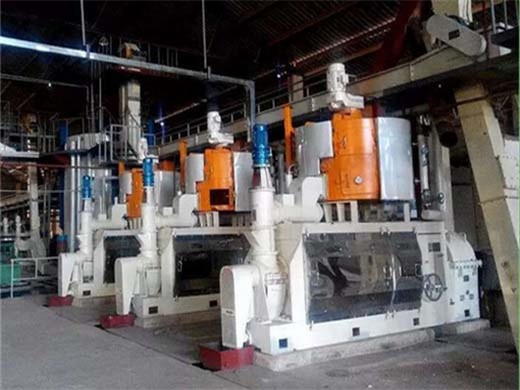 Prensa automática de aceite de girasol hj pr100 de 300 a 400 kg/hora en África