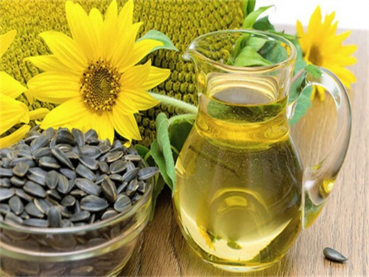 Prensa de aceite comercial para aceite alimentario 6yl-95 en Paraguay