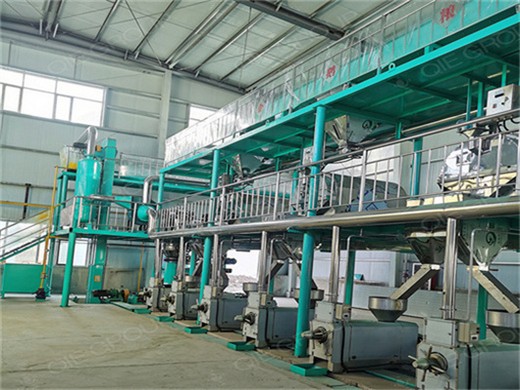 Extrusora portátil china de aceite de copra caliente y frío de 80 a 150 kg/h de coco
