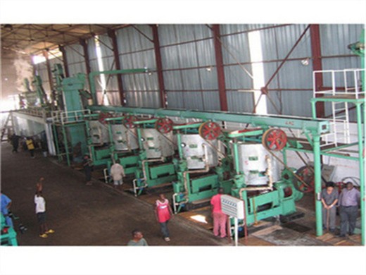 Venta caliente en Cuba máquina expulsora de aceite grande mostaza