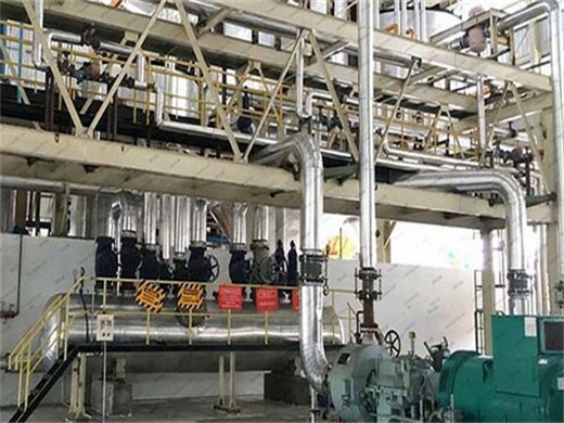 Precio de la máquina comercial de aceite de salvado de arroz con tornillo frío-caliente