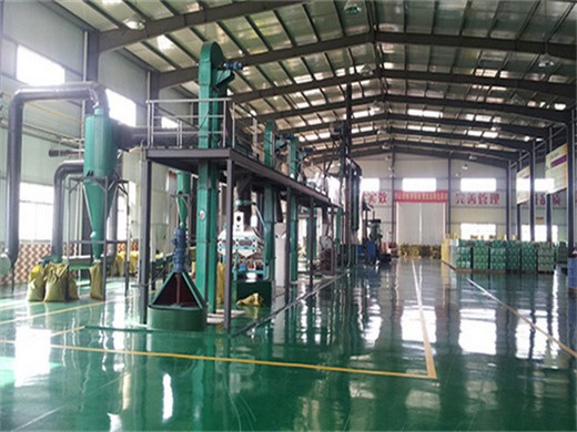 Máquina extractora de aceite de semillas de girasol de gran tamaño modelo dl zyj12c