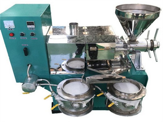 Prensa hidráulica automática para aceite de girasol y mantequilla de maní