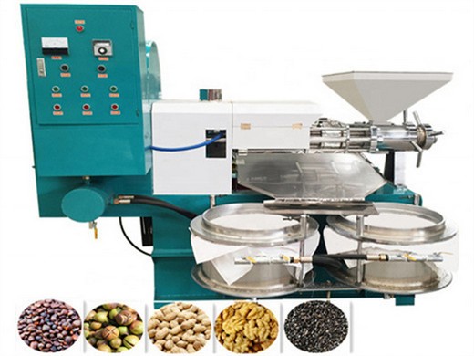 Máquina automática para prensar aceite de acero inoxidable y cocinar aceite
