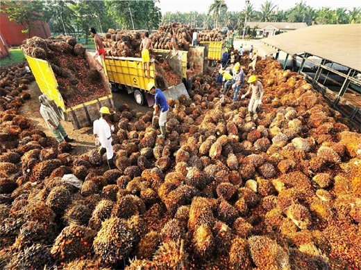 Máquina de extracción de aceite de palma en Cuba