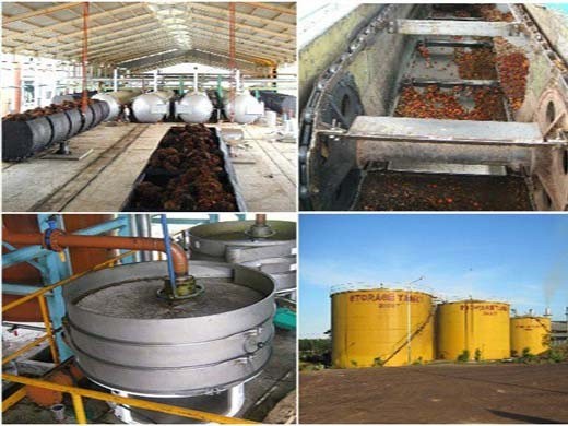 Infusor de soja para prensar y medir aceite de palma a base de hierbas en Colombia