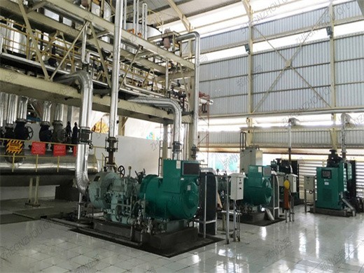Proveedores globales de aceite de palma en Nicaragua