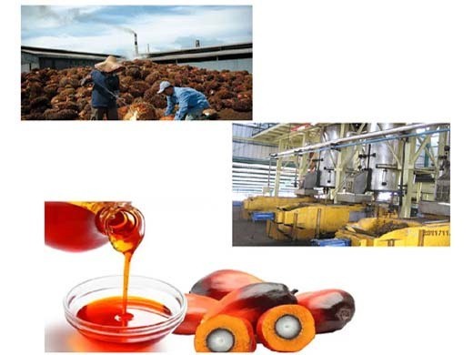 Prensa de aceite máquina de prensado de aceite prensa de aceite para palma en Perú