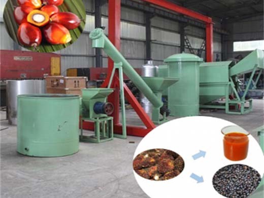 Prensa de aceite de palmiste de nuevo diseño para extracción de aceite de palma en Perú