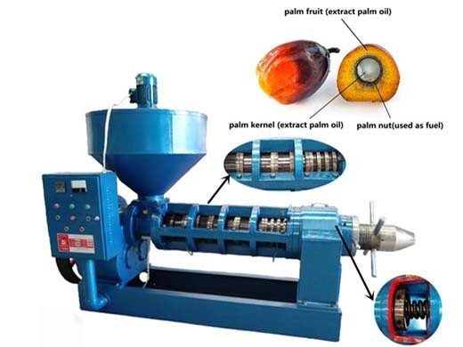 Máquina de prensado de aceite de coco y máquina de extracción de aceite de girasol y palma