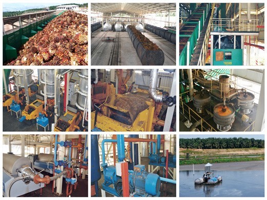 Prensa de aceite automática D-80 para aceite de palmiste en Cuba
