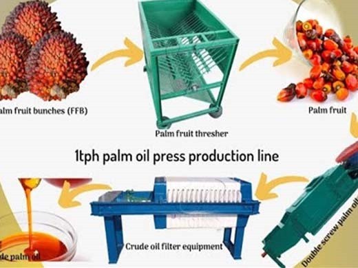 Precio de la nueva máquina de aceite de palma de 200 kg/h en Venezuela